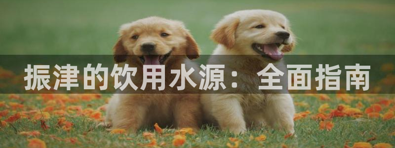 球友会FIFA22比赛是否能随机超控