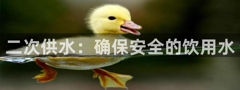 球友会拼音