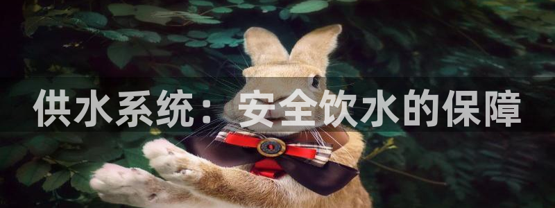 qy球友会体育(中国)官方网站