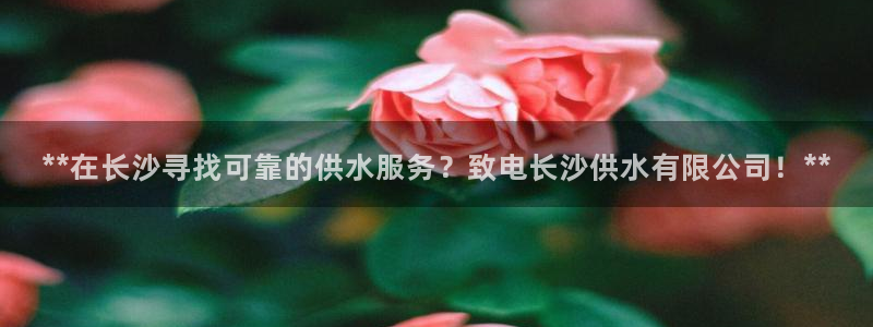 球友会娱乐