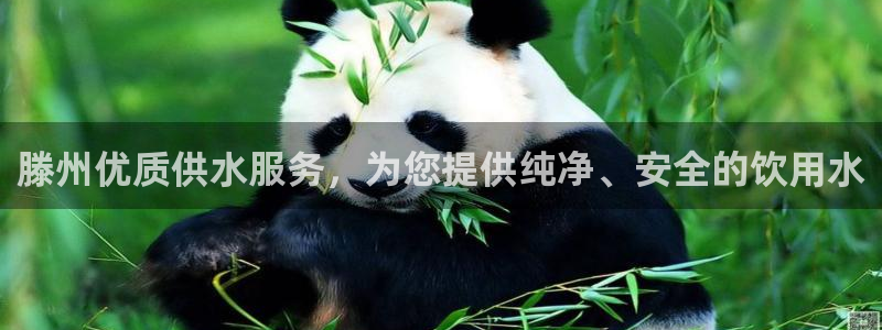 球友会首页