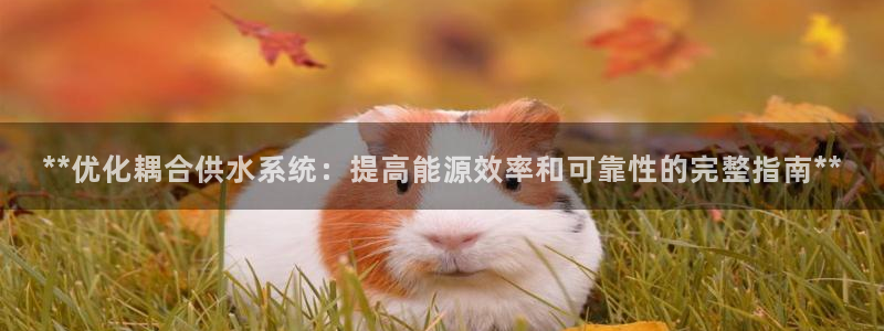 球友会提现不到账