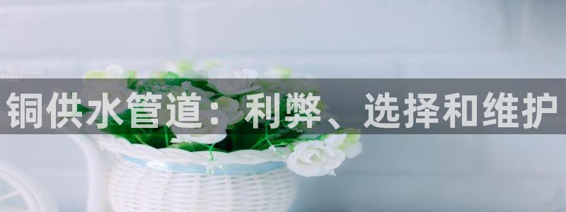球友会体育app官方版下载安装苹果