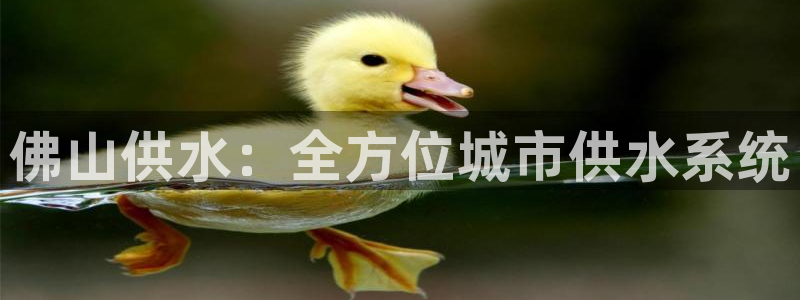 球友会登录网站
