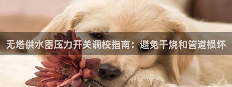 球友会网站多少钱一个