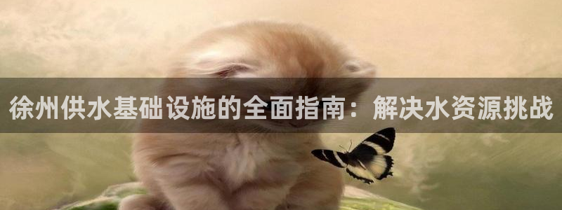 球友会登录网站