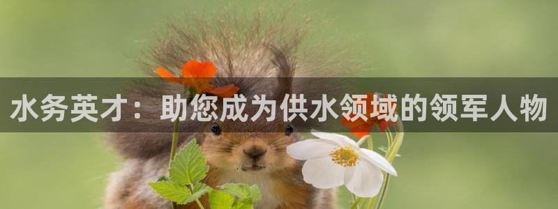 球友会软件