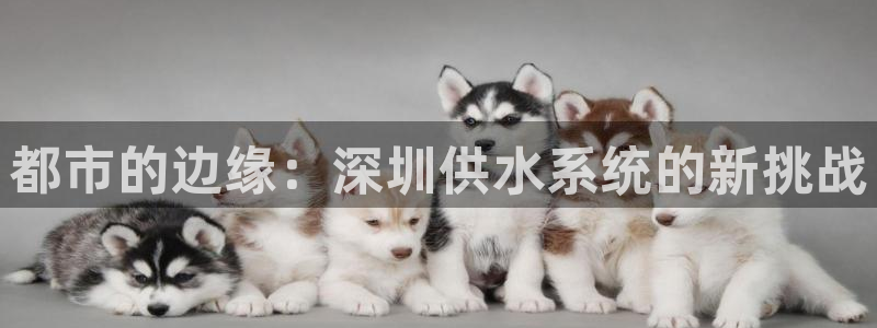球友会官方网站下载