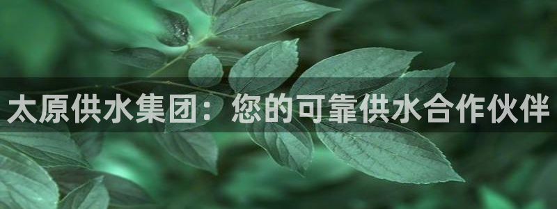 球友会app干啥的