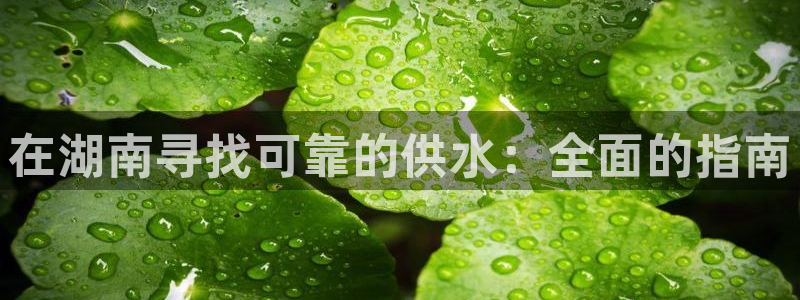 球友会提款