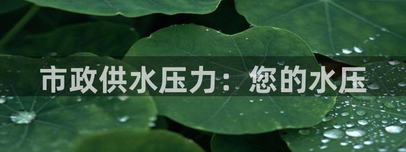 球友会官网登录入口网址