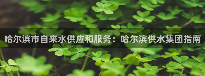 球友会联赛