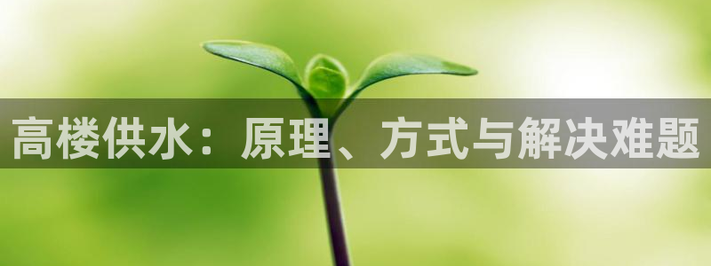 球友会体育app官方版下载安装手机