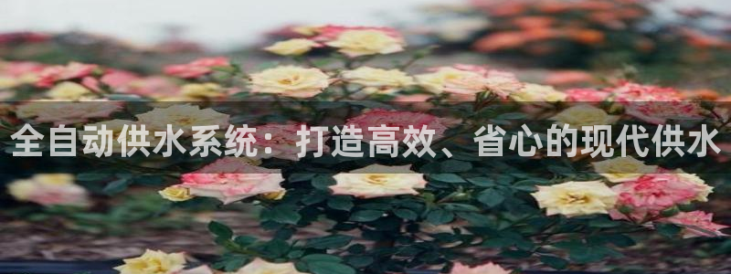 球友会QY