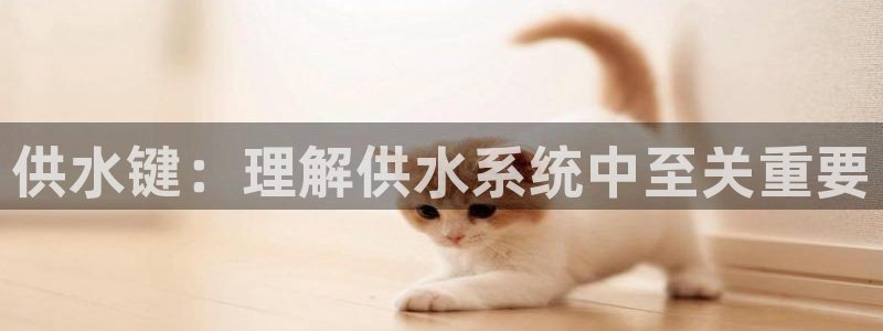 球友会官网登录入口网址