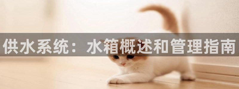 qy球友会体育怎么样