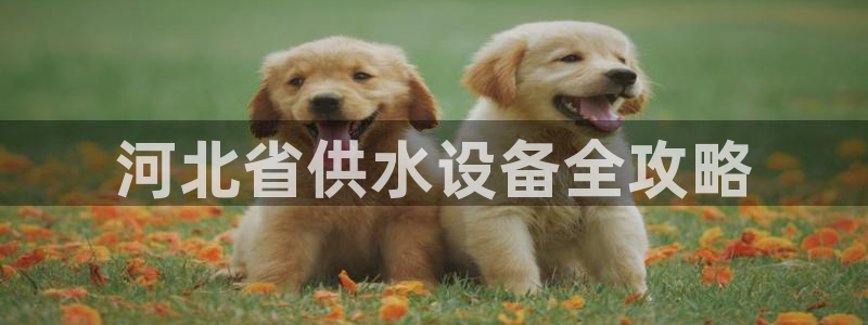 球友会联赛