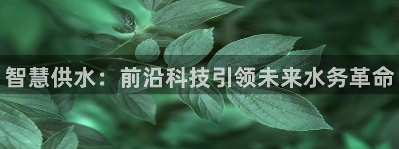 关键词