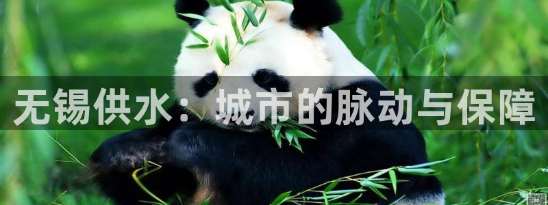 球友会台球俱乐部