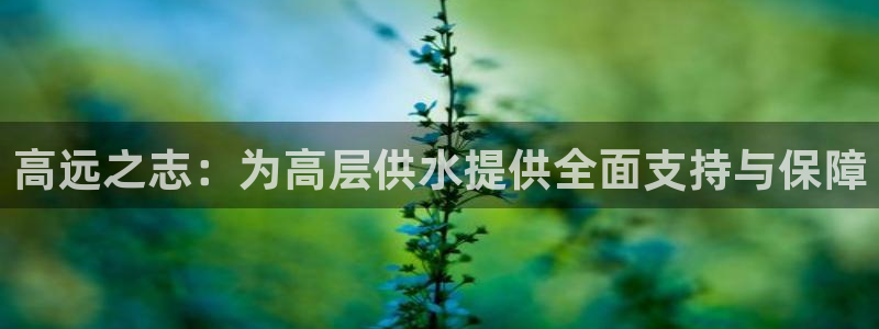 球友会qyh