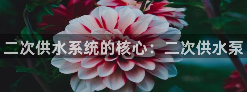 球友会官网登录入口手机版