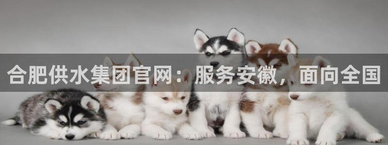 球友会比赛结果查询官网