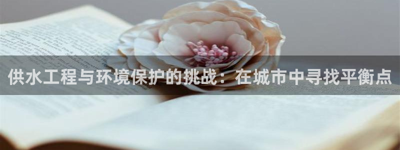 球友会提款审核