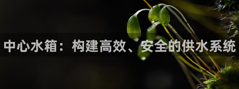 球友会体育app下载安卓版