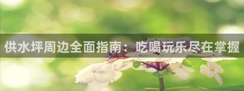 球友会提款审核