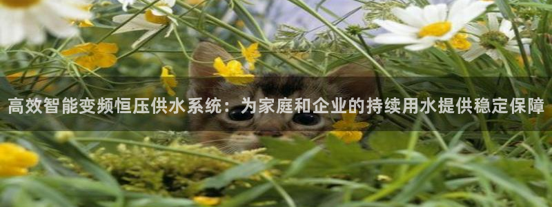 球友会app官方网站入口